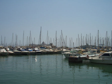 Alicante Marina