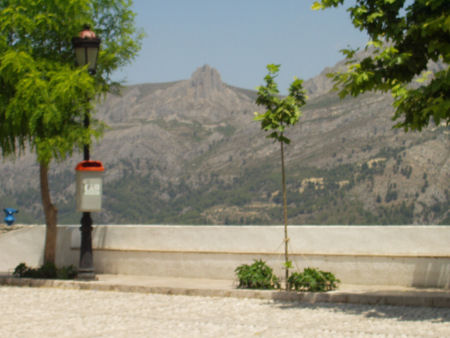 click picture to return to gallery